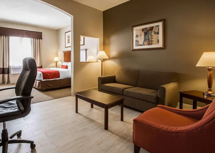 Comfort Suites Stafford Near Sugarland