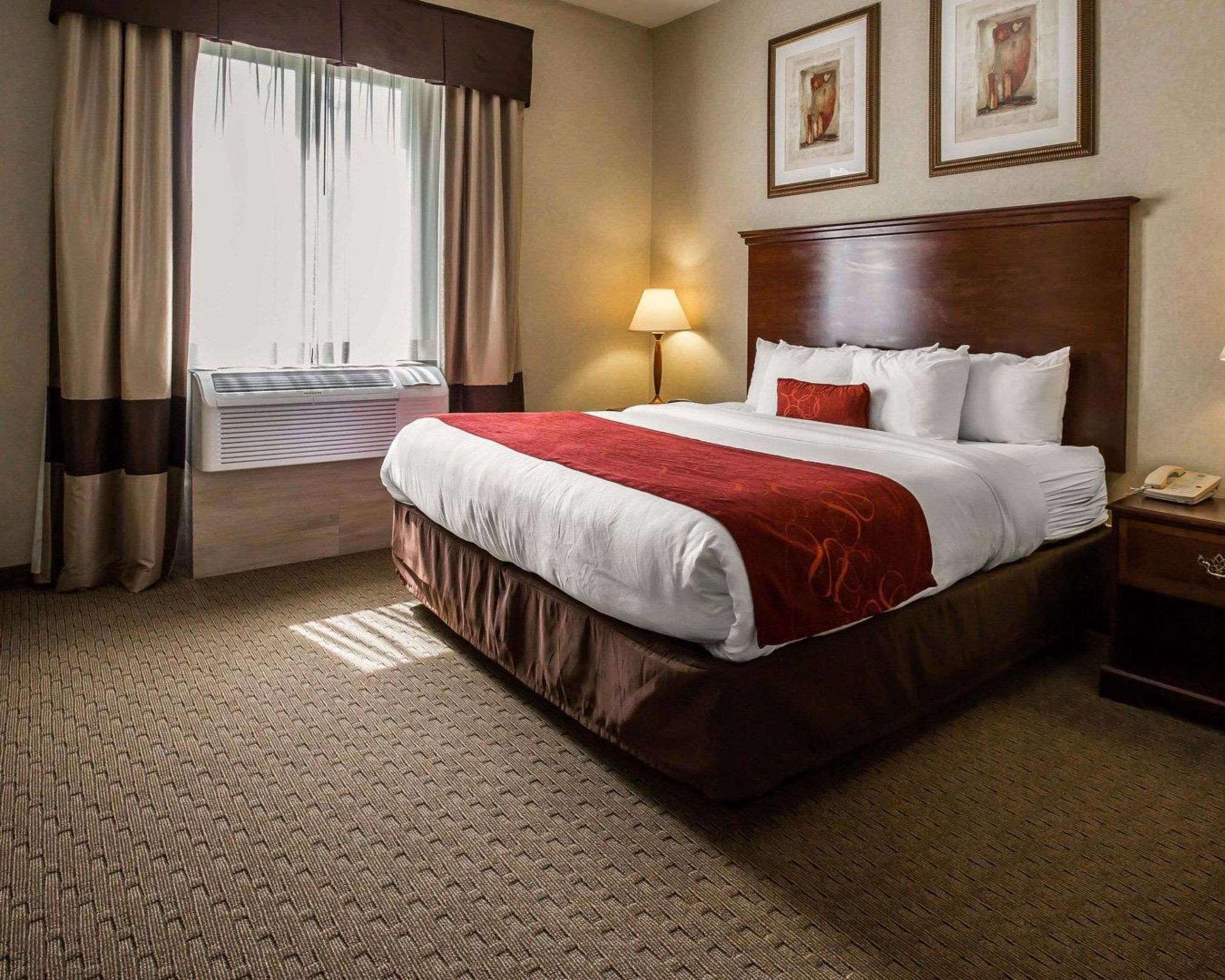 Comfort Near Sugarland Hotel Stafford