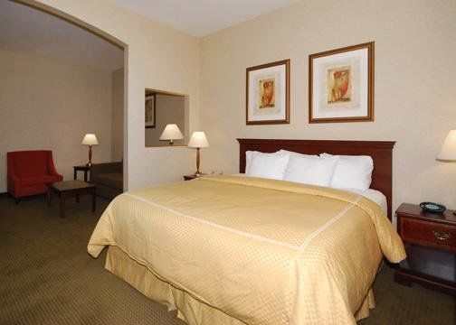 Hotel Comfort Near Sugarland 3*